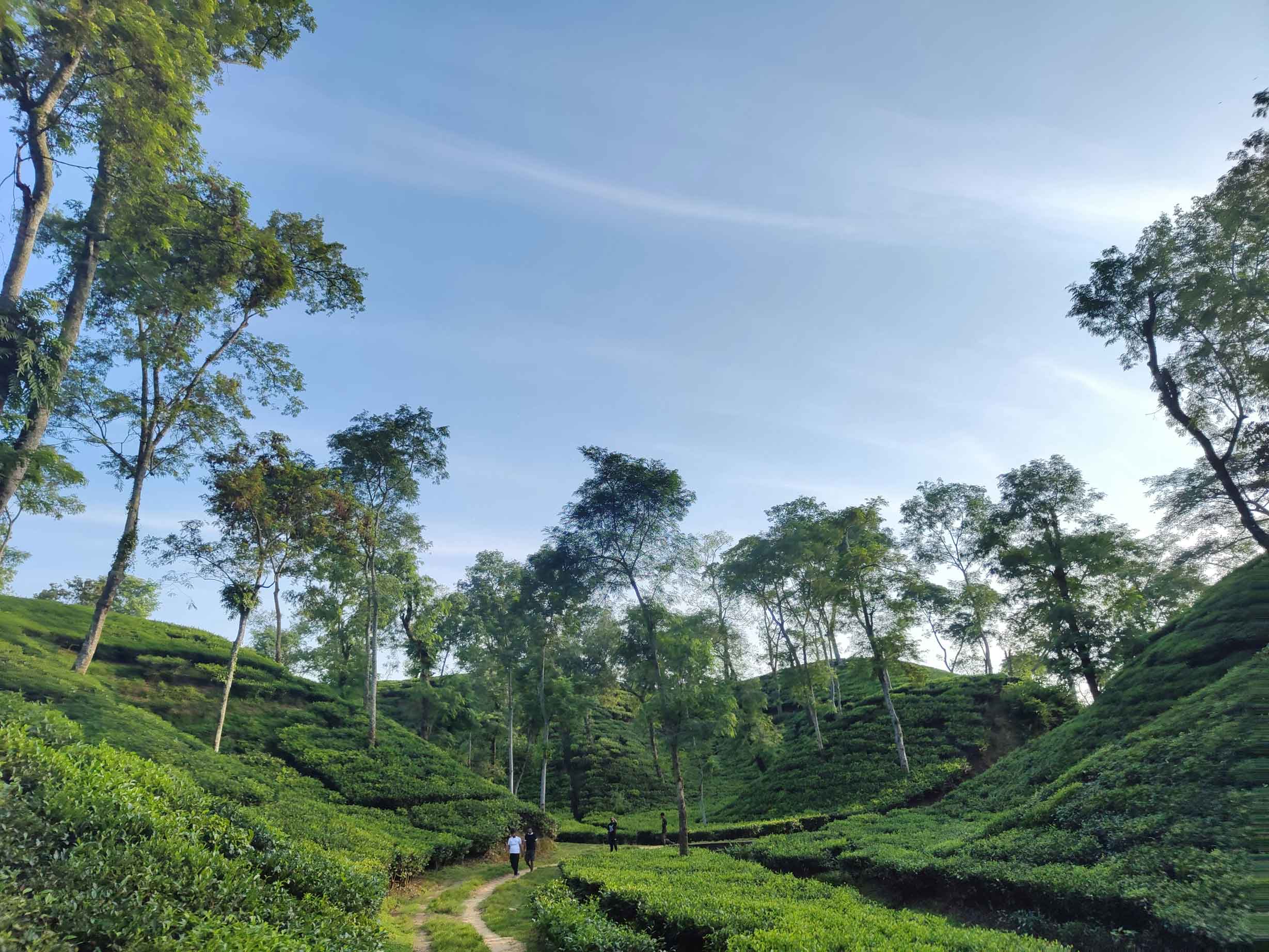 A roadside tea stall in Bangladesh — slow travel and local culture
